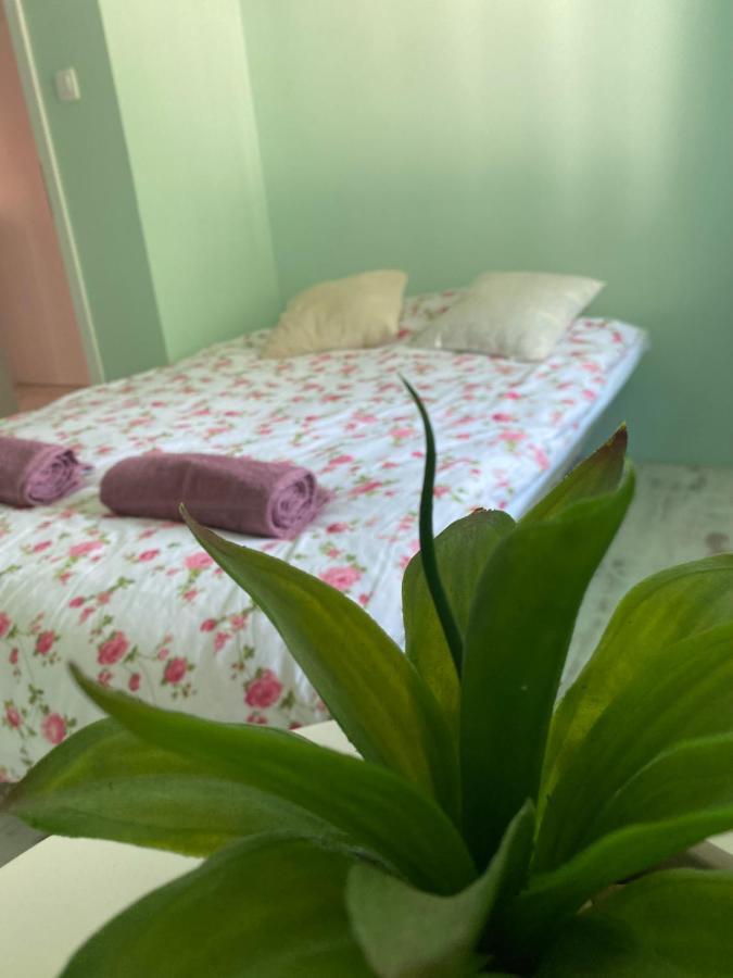 Hisa Megiclinic - Apartments & Healing Center Kobarid Kültér fotó