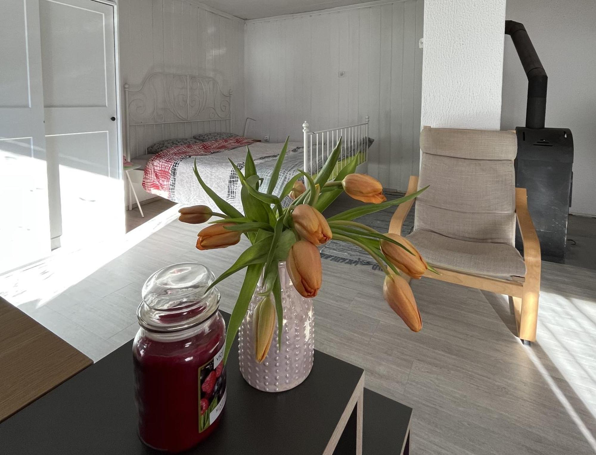 Hisa Megiclinic - Apartments & Healing Center Kobarid Kültér fotó