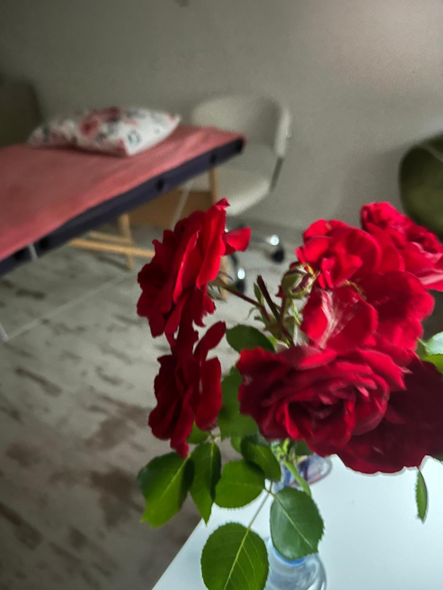 Hisa Megiclinic - Apartments & Healing Center Kobarid Kültér fotó
